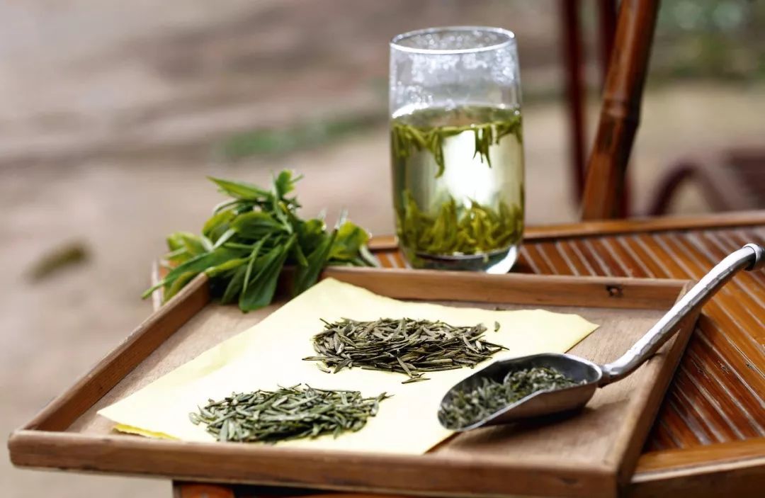 蒙顶茶的标准与陶瓷 文化交融中的品质之约